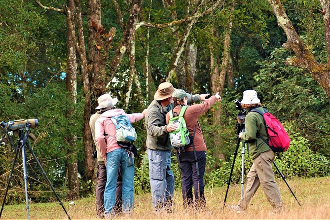 Nepal Birding - Is $225 a fair price?