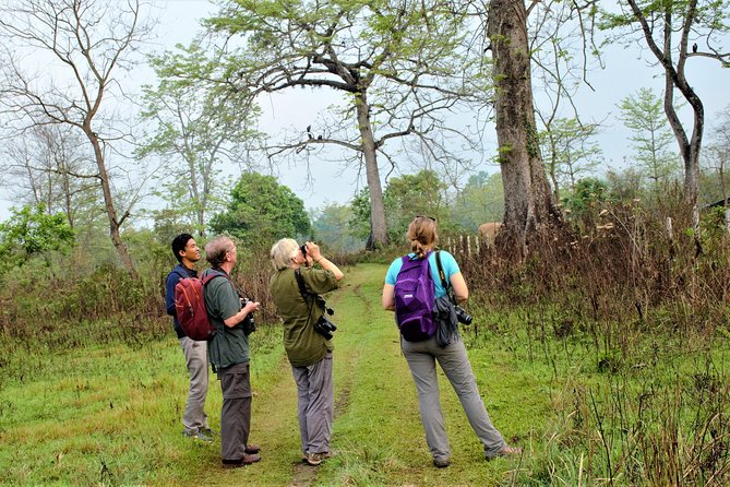 Nepal Birding - Who should book this experience?