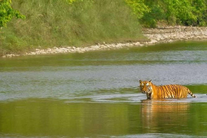 Nepal Classic Tour -12 Days - Lumbini offers a quieter change of pace