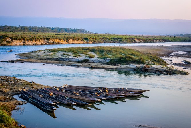 Nepal Cultural Highlights Tour in 10 Days - Day 6: Bird-watching and the Lumbini transition