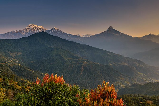 Nepal Cultural Highlights Tour in 10 Days - Day 4: The long road to Chitwan