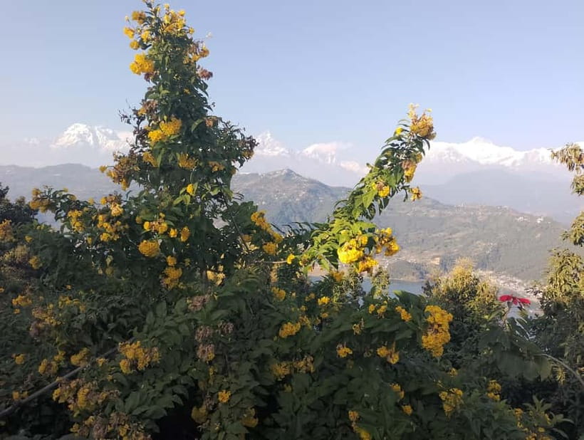 Peace & Panorama: Stupa and Pumdikot Scenic Drive Tour - Is $32 a fair price?