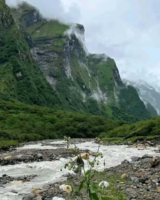 Pkr/Kathmandu: 5-Day Annapurna Base Camp & Hot spring Trek - Day 3: Machapuchare Base Camp to ABC