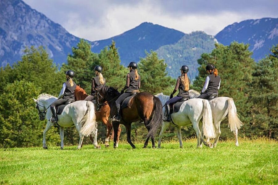 Pokhara: 1-Hour Horseback Ride with Hotel Pickup - Languages, group size, and the overall pace