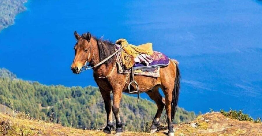 Pokhara: 1-Hour Horseback Ride with Hotel Pickup - What happens when you are picked up