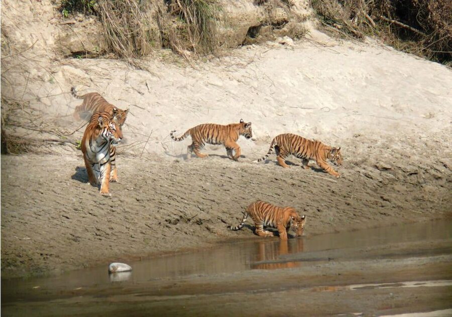 Pokhara: 1 Night 2 Day Chitwan Safari Tour - Leaving Pokhara at 7am for the Terai