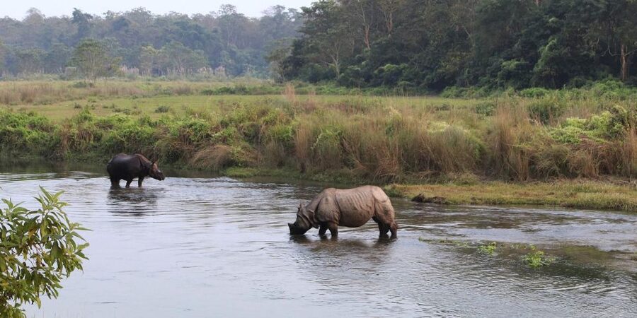 Pokhara: 1 Night 2 Day Chitwan Safari Tour - Arriving at Chitwan National Park