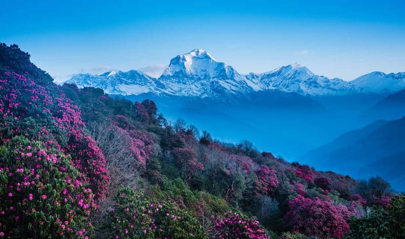 Pokhara: 2 & 3 Days Ghorepani Poon Hill Private Guided Trek - The pre-dawn climb to Poon Hill