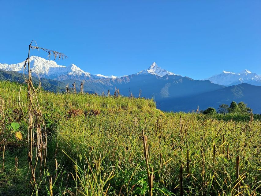 Pokhara: 2-Day Australian Camp & Dhampus Village Easy Hike - Australian Camp and the Annapurna view