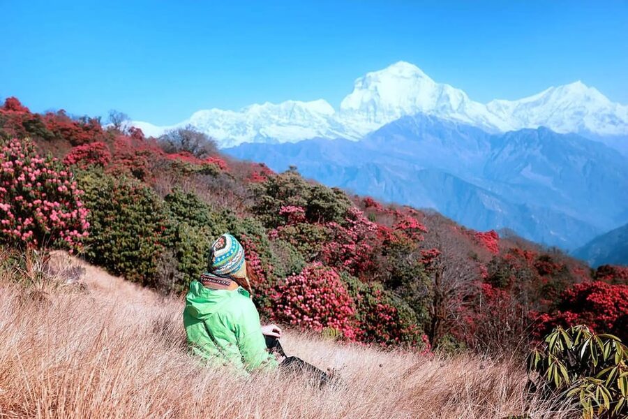Pokhara: 2 Day Ghorepani & Poon Hill Private Trekking - Key points to know before booking