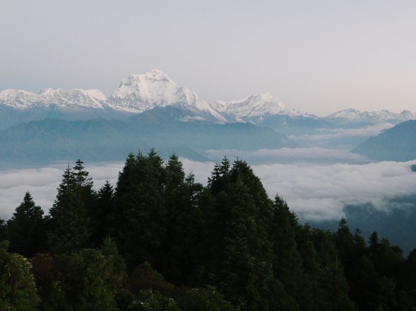 Pokhara: 3-Day Ghorepani and Poon Hill Trek - Should you book the Ghorepani and Poon Hill trek?
