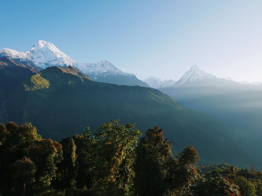 Pokhara: 3-Day Ghorepani and Poon Hill Trek - Day three: Poon Hill sunrise and the long descent