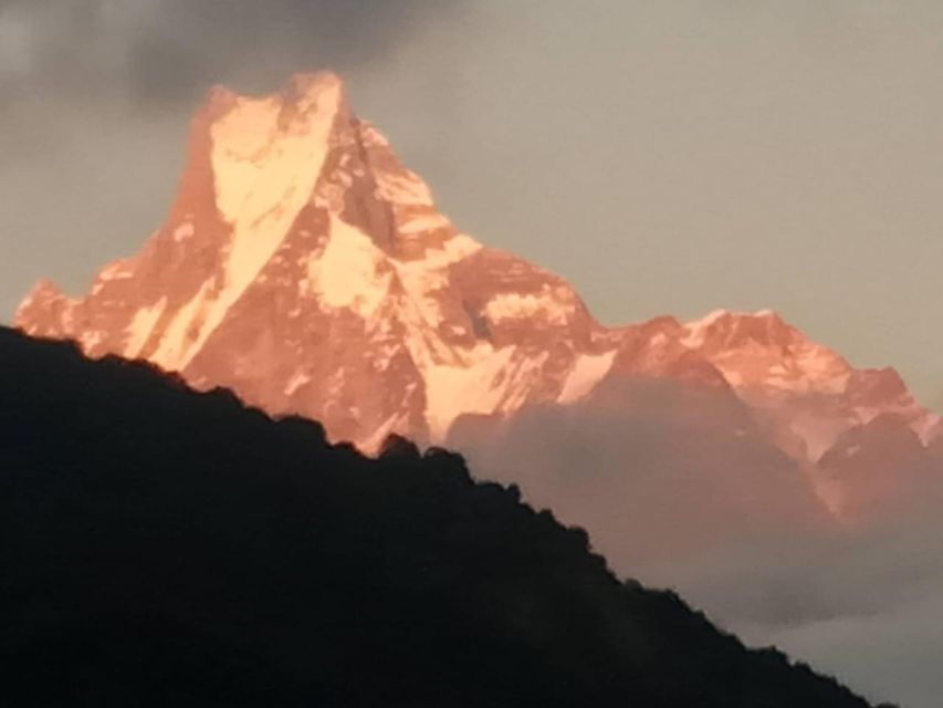Pokhara: 3-Day Ghorepani, Poon Hill and Ghandruk Guided Trek - What your guide adds