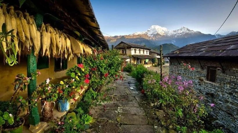 Pokhara: 3-Day Ghorepani, Poon Hill & Ghandruk Guided Trek - Day 2: Poon Hill sunrise, Tadapani, and Ghandruk