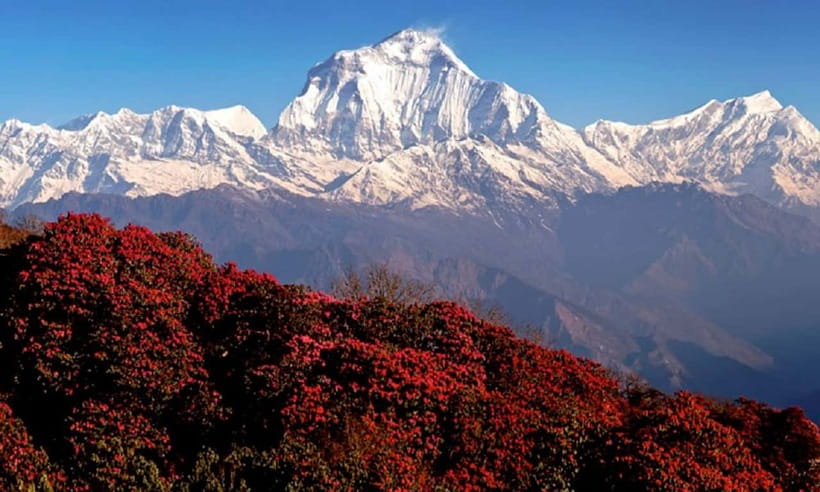 Pokhara: 3-Day Ghorephani and Poon Hill Private Trek - Who should book this Poon Hill trek?
