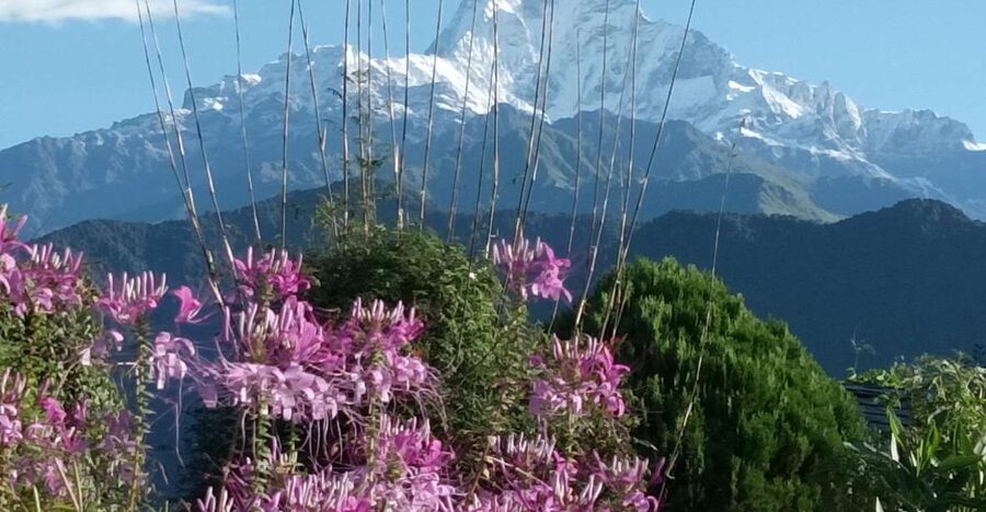 Pokhara: 3-Day Trek - Day one: Naudanda, Dhampus, Pothana, and Australian Camp