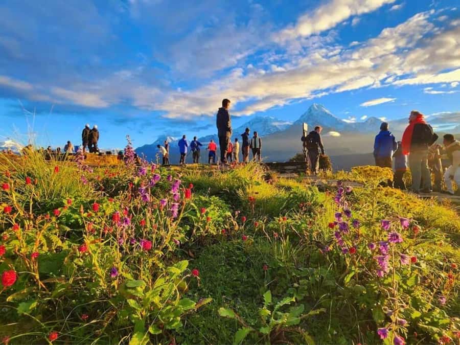Pokhara: 3- days Poon Hill Trek - Key points to know before booking