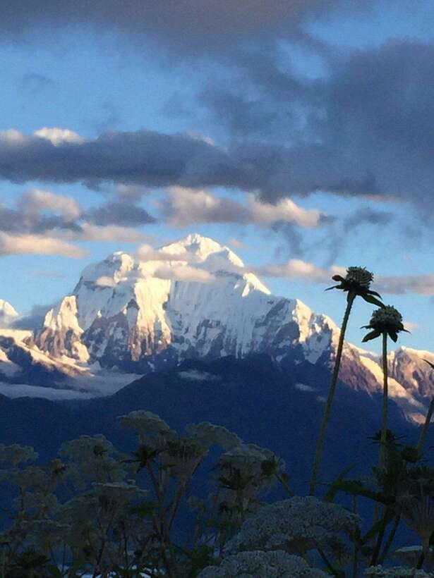 Pokhara: 3 days Trek to Poon hill - What the private guide adds