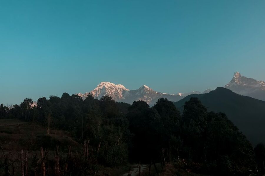 Pokhara:4-Day Ghorepani Poon Hill Guided Trek via Ghandruk - Guides, pace, and group style