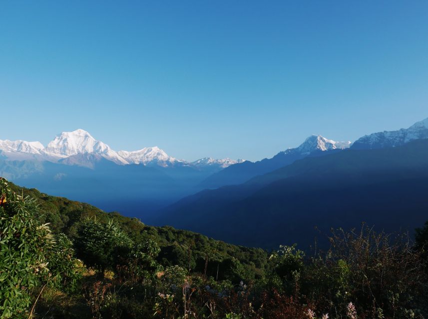 Pokhara:4-Day Ghorepani Poon Hill Guided Trek via Ghandruk - Getting from Pokhara to the first trail