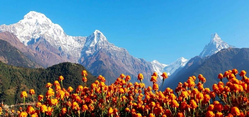 Pokhara: 4-Day Ghorepani, Poonhill & Ghandruk Mountain Trek - From Pokhara to Ulleri: the first climb