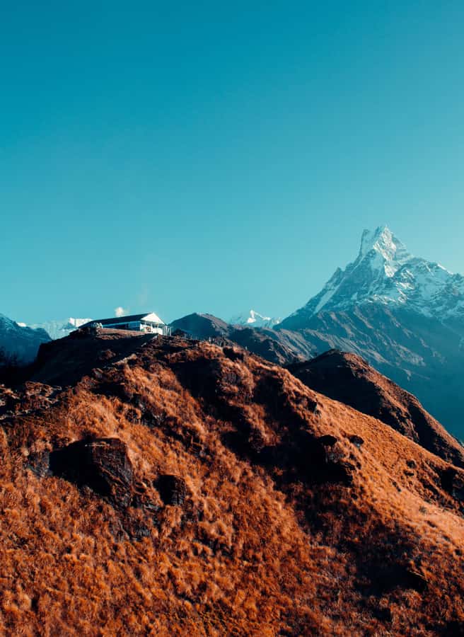 Pokhara: 4-Day Mesmerizing Mardi Himal Guided Trek - Who should book this Mardi Himal trek?