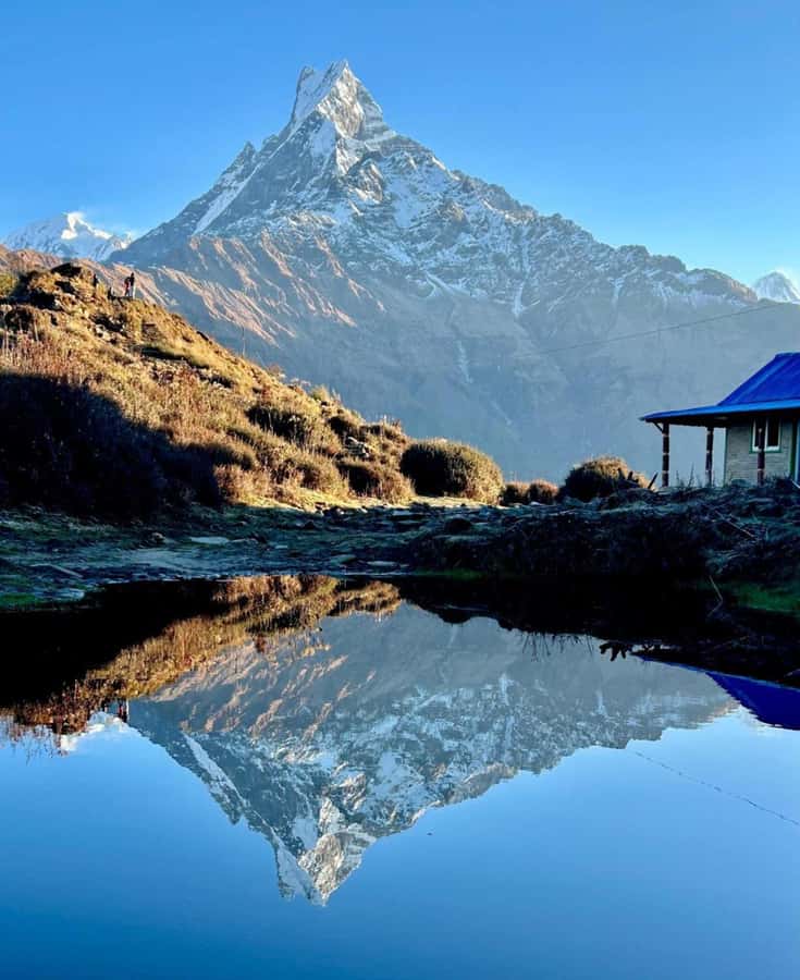 Pokhara: 4-Day Mesmerizing Mardi Himal Guided Trek - Day 3: Sunrise at 4,300 meters, then down to Low Camp