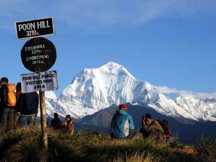Pokhara: 4-Day Poon Hill and Ghandruk Guided Trek - Day 2: Ulleri to Ghorepani through rhododendron forest