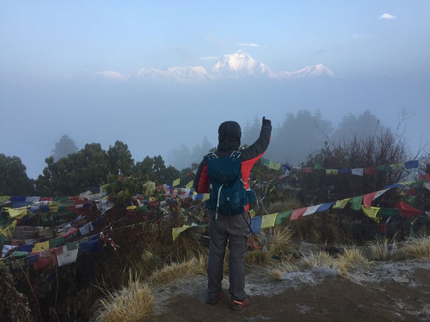 Pokhara: 4-Day Private Trek Tour - Day two: Ulleri to Ghorepani through rhododendron forest