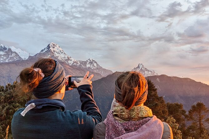 Pokhara: 4 Days Poon Hill and Ghandruk Trek - Day 2: Ulleri to Ghorepani through rhododendron forest