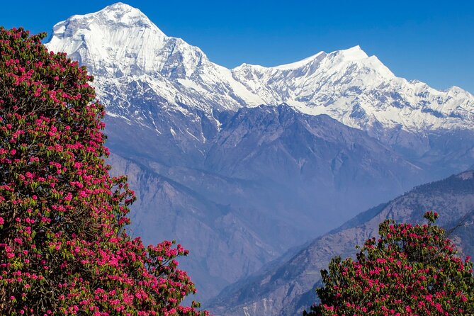 Pokhara: 4 Days Poon Hill and Ghandruk Trek - Ghandruk: the cultural heart of the route