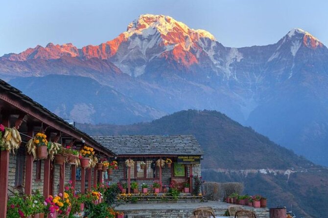 Pokhara: 4 Days Poon Hill and Ghandruk Trek - Day 1: Pokhara to Ulleri and the first serious climb