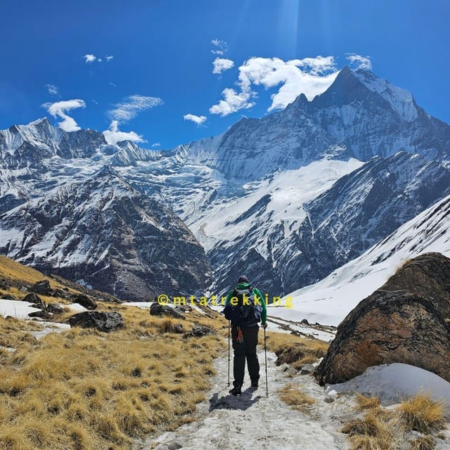 Pokhara: 5-Day Annapurna Base Camp (ABC) Trek - Day Four, ABC to Bamboo