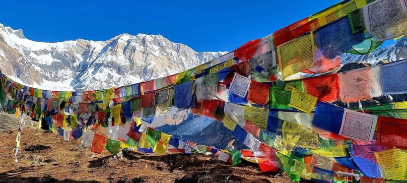 Pokhara: 5-Day Annapurna Base Camp Trek with Hot Spring - Day 5: Jhinu Dada hot springs and Pokhara