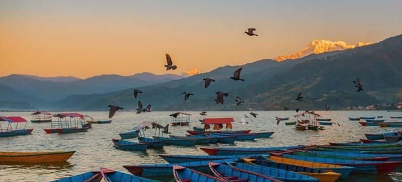 Pokhara: 5 Himalayan Viewpoints Guided Tour - Who should book this Pokhara viewpoint tour?