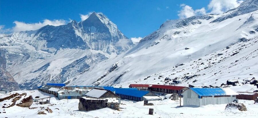 Pokhara: 7-Day Annapurna Base Camp Trek & Natural Hot Spring - Day 5: A long descent to Bamboo