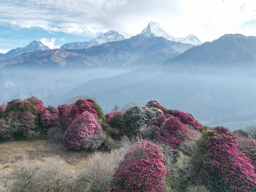 Pokhara: 7-Day Annapurna Base Camp Via PoonHill & Hot Spring - What the $267 price really covers