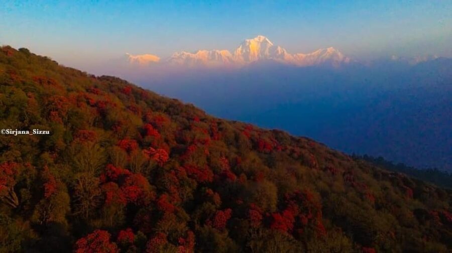 Pokhara: 7-Day Annapurna Base Camp Via PoonHill & Hot Spring - Day 7: Bamboo to Jhinu Dada and the hot spring