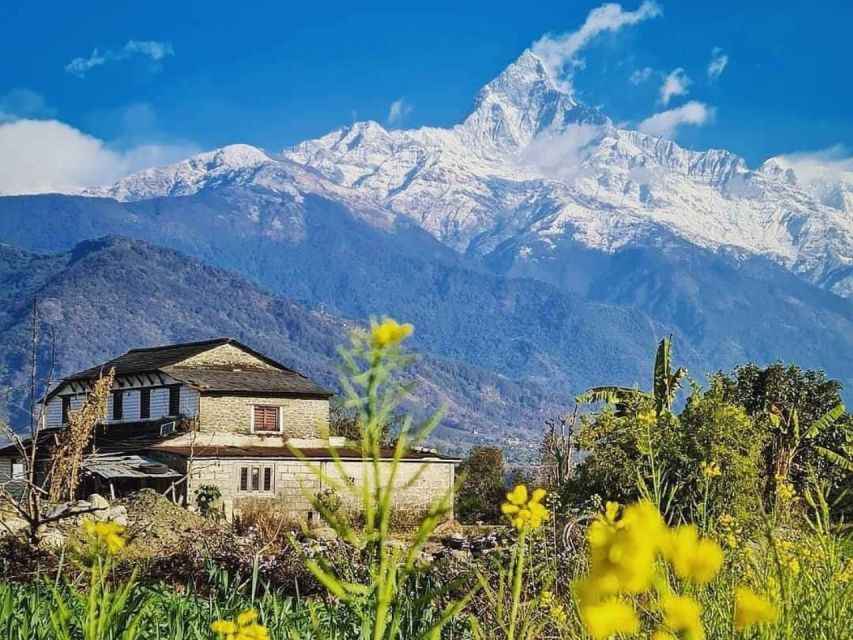 Pokhara: 9-Day Annapurna Base Camp Trek with Poon Hill - Day three: Poon Hill sunrise, Tadapani, and Chuile