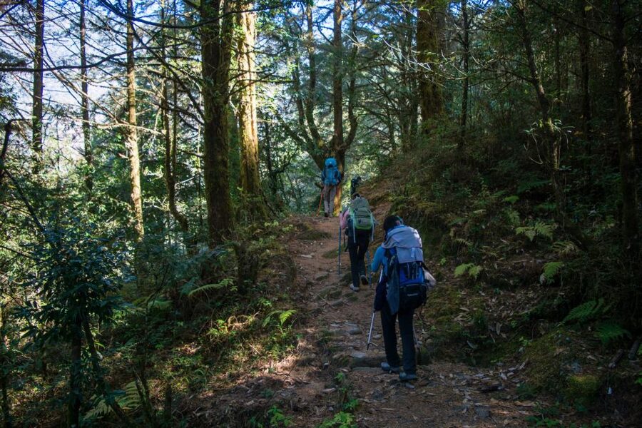 Pokhara: 9-Day Annapurna Base Camp Trek with Poon Hill - Day four: Chuile to Sinuwa through river country