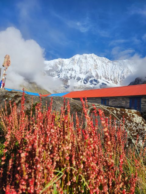 Pokhara: 9-Day Annapurna Base Camp Trek with Poon Hill - Day five: forest trails from Sinuwa to Deurali