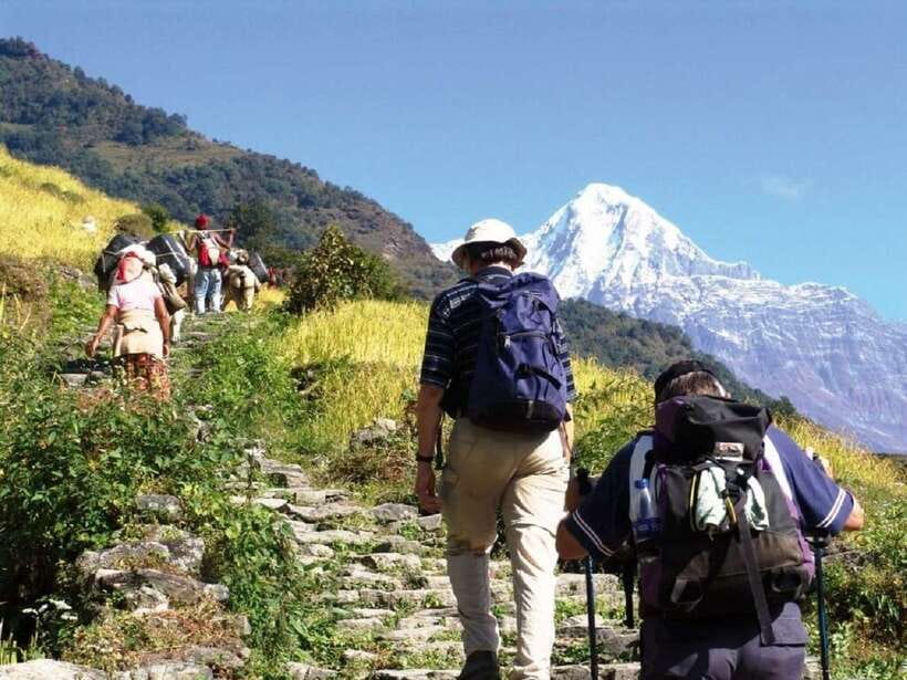 Pokhara: Annapurna Day Hike with Panoramic Views - The climb to Australian Camp