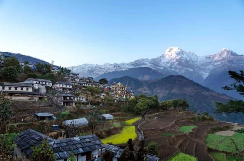 Pokhara: Annapurna Foothills Day Hike with Transfers - The descent to Phedi and Ghattekhola