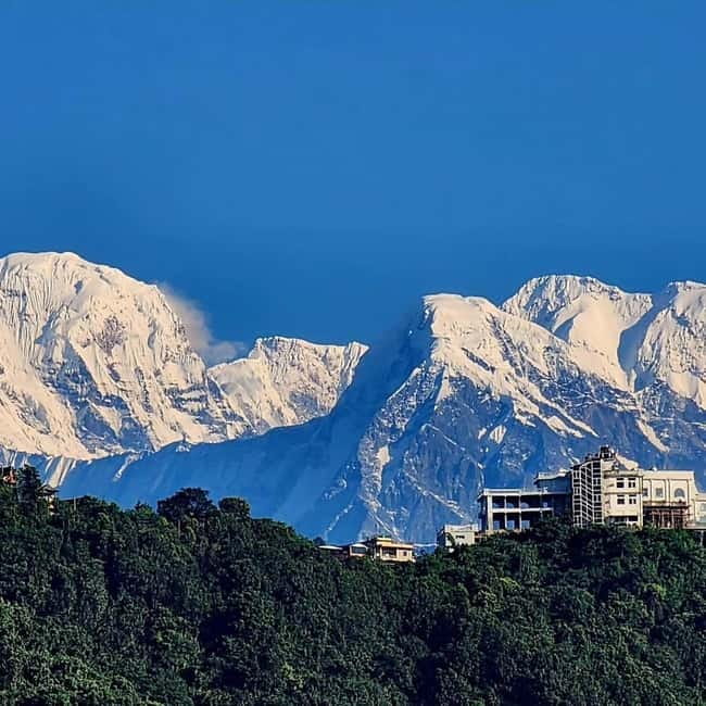 Pokhara: Day Hike to Australian Camp - Rhododendron forest and the changing trail