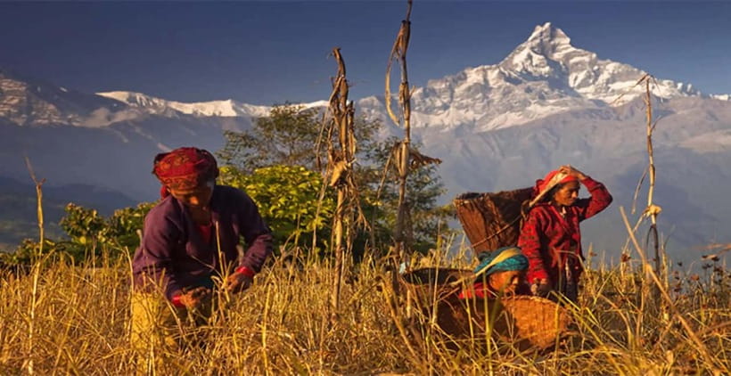 Pokhara: Day Hiking to Australian Base Camp with Lunch - A two-hour lunch break in Dhampus