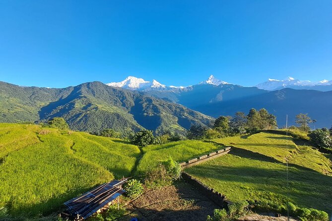 Pokhara: Easy Day Hike to Australian Camp & Dhampus Village - Australian Camp and the Himalayan panorama