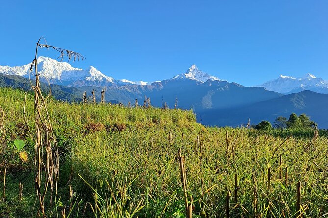 Pokhara: Easy Day Hike to Australian Camp & Dhampus Village - The guide can shape the day