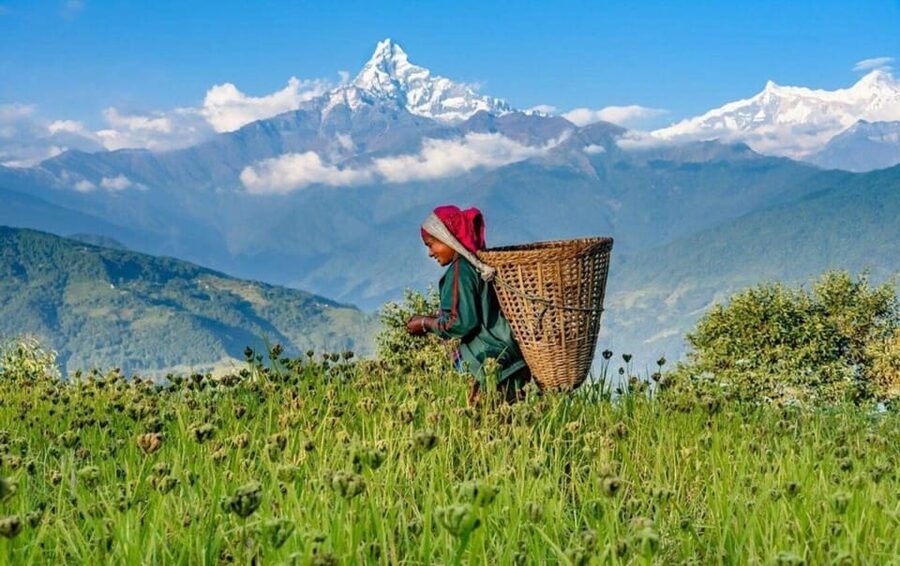 Pokhara : Easy Dhampus & Astam Village Day Hike - Key points at a glance