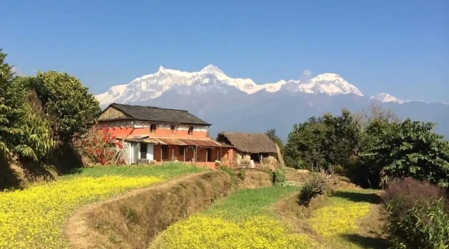 Pokhara : Easy Dhampus & Astam Village Day Hike - Astam to Hemja and the ride back