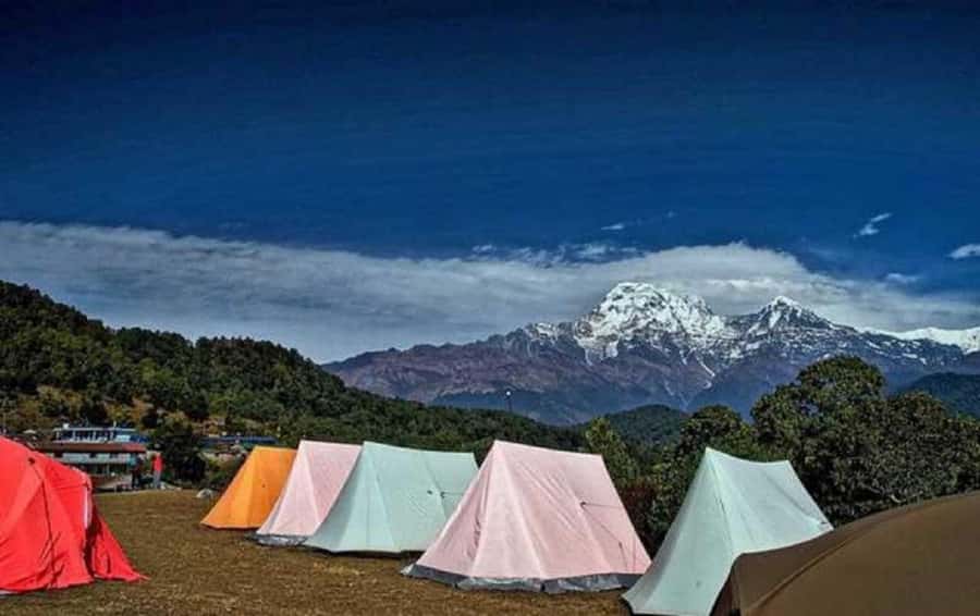 Pokhara: Guided Day Hike From Dampus To Australian Base Camp - Key points to know before you book